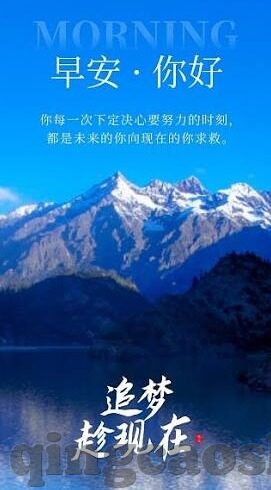 麻d传媒国产大象2022-麻d传媒国产大象2022，文化与创新的双重探索